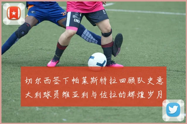 切尔西签下帕莱斯特拉回顾队史意大利球员维亚利与佐拉的辉煌岁月
