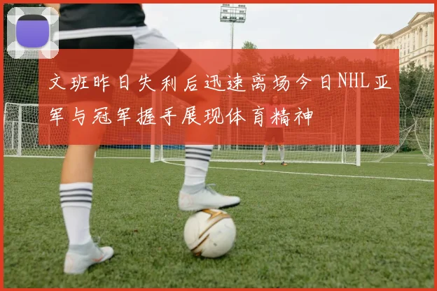 文班昨日失利后迅速离场今日NHL亚军与冠军握手展现体育精神